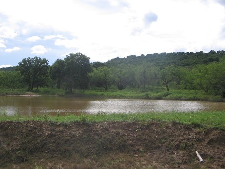 stocked pond