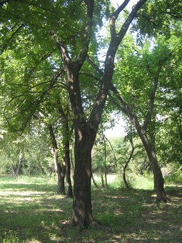 small acreage
