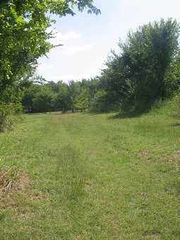 land