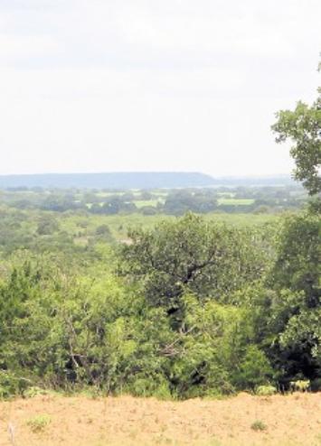 view off of Chestnut Mountain