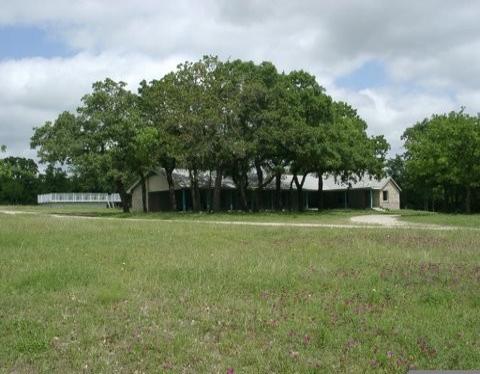oak tree cluster