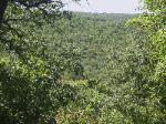 Millsap TX