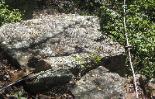 moss covered boulders