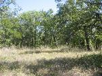 good homesite